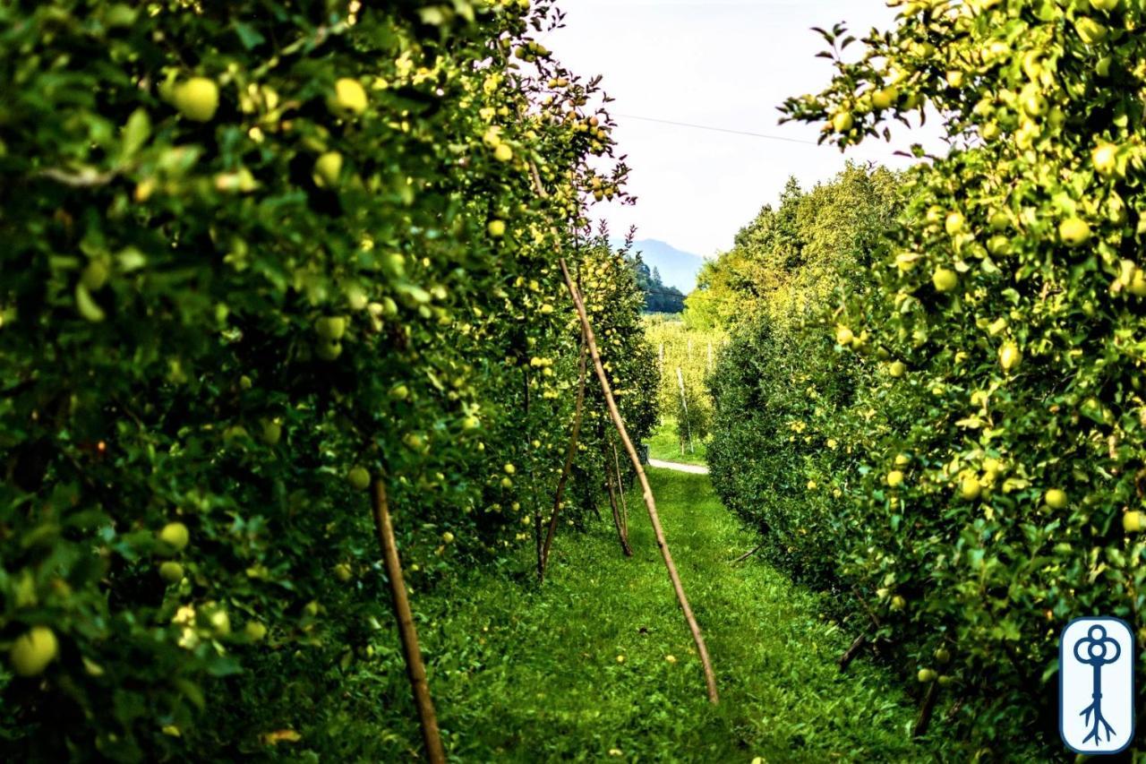 Casa Vacanze Antico Eremo, Tra Natura E Tradizione Campodenno Buitenkant foto