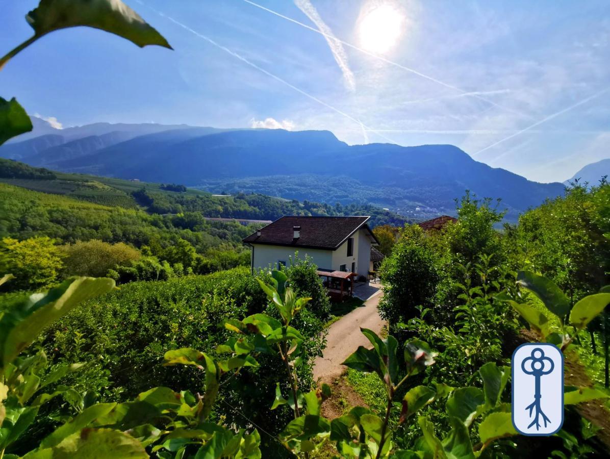 Casa Vacanze Antico Eremo, Tra Natura E Tradizione Campodenno Buitenkant foto